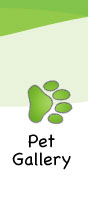 Pet Gallery