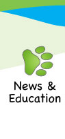 News and Education