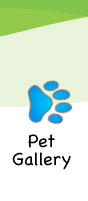 Pet Gallery