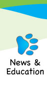 News and Education